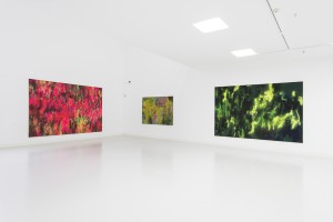 Ausstellungsansicht_Haunsperg_Schauwerk_3