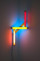 Dan_Flavin_Kleinbach2010